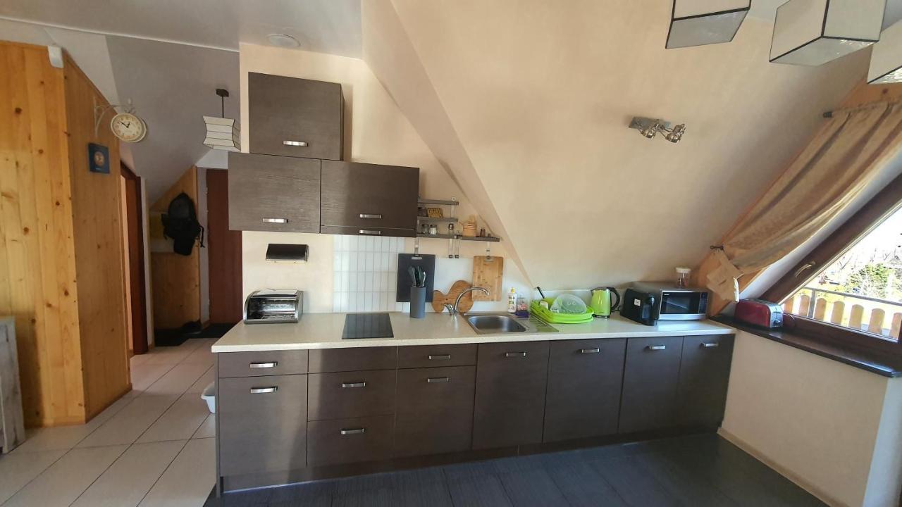 זקופאנה Apartament Antalowka ! מראה חיצוני תמונה